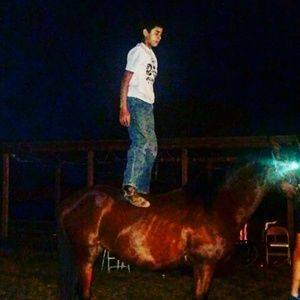 Meet your Posher, Lorenzo